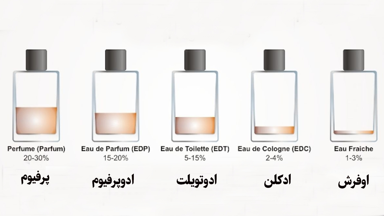 رایحه عطر و ادکلن ها چند نوع هستند؟